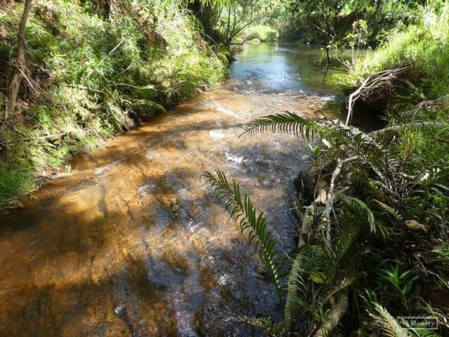 Cottage for sale in Daradgee, Queensland