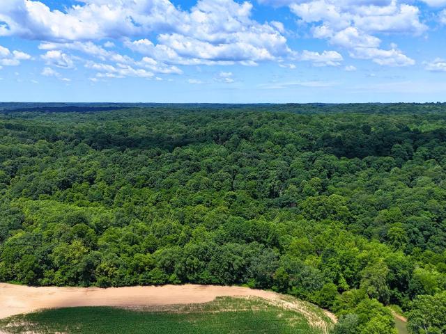 Land for sale in Shoals, Martin County