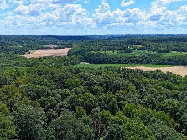 Land for sale in Shoals, Martin County