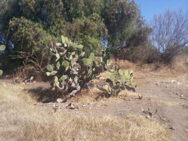 Terreno en venta en Cuapiaxtla De Madero, Puebla
