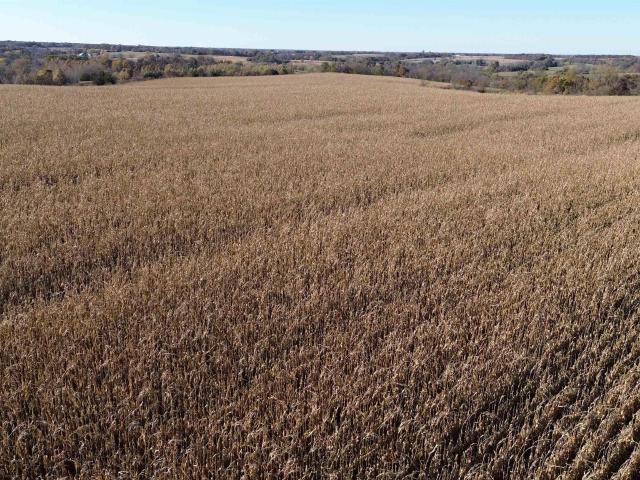 Farm for sale in Davis, Iowa