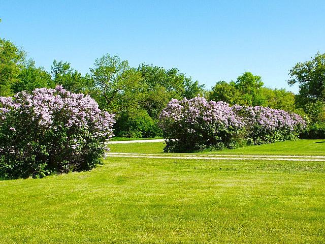 Land for sale in Manitoba