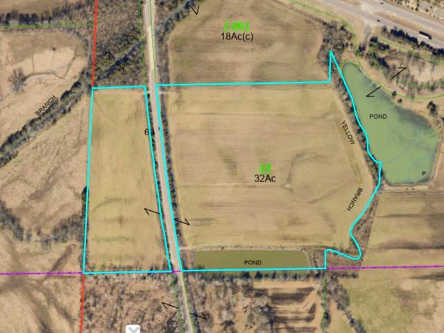 Land for sale in Woodville, Alabama
