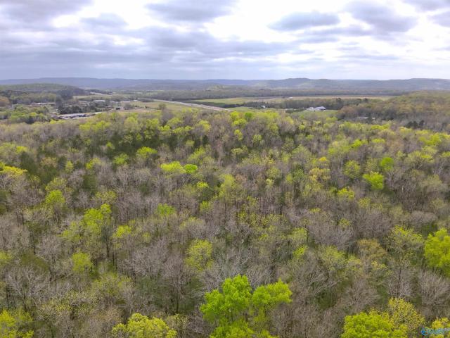 Land for sale in Woodville, Alabama