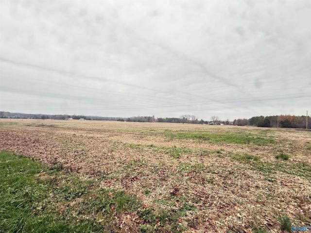 Land for sale in Falkville, Alabama