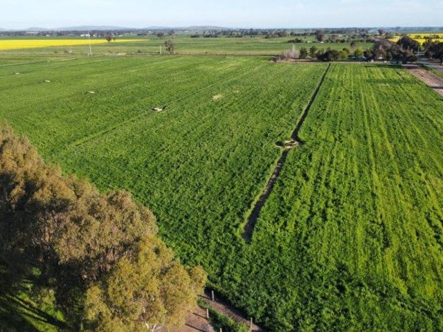 Acreage for sale in Invergordon, Shire of Moira