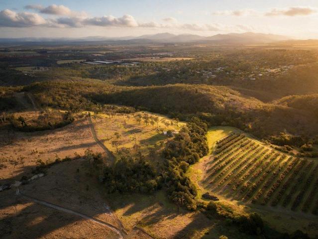 Land for sale in Tolga, Tablelands Regional