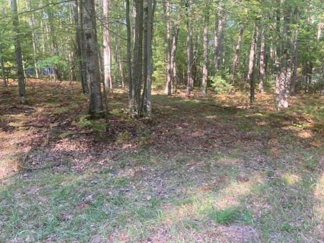Land for sale in Spruce, Michigan