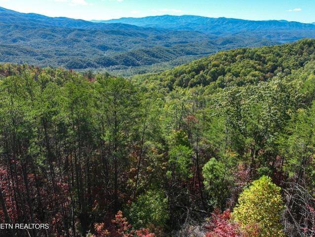 Land for sale in Tennessee