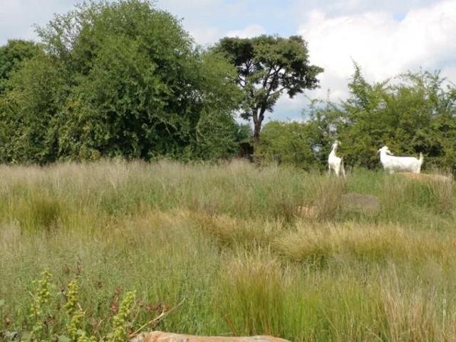Land for sale in Hartbeespoort Dam Nature Reserve, North West
