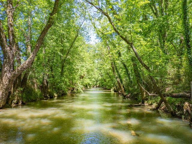 Farm for sale in Tennessee