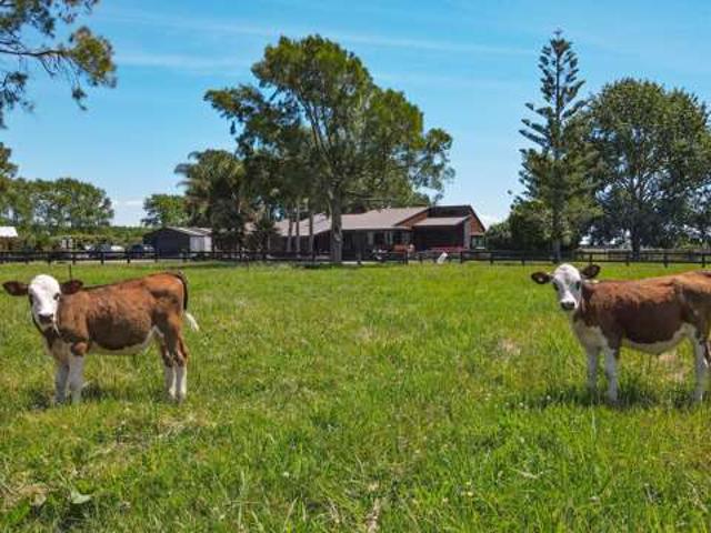 Property for sale in Turua, Waikato