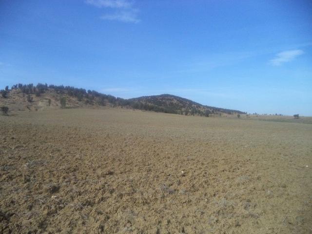 Terrain vente à Bir Mcherga