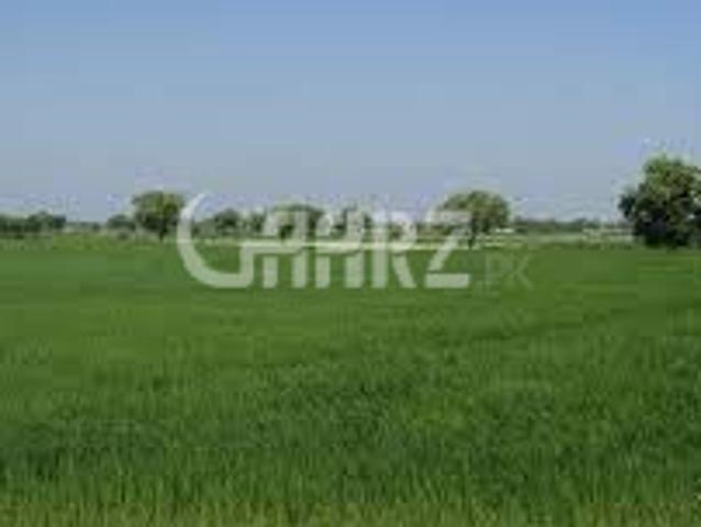Land for sale in Bahawalpur