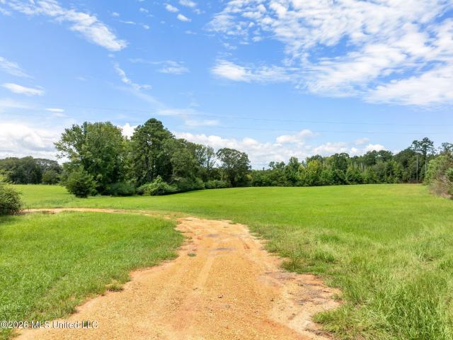 Land for sale in Summit, Pike County