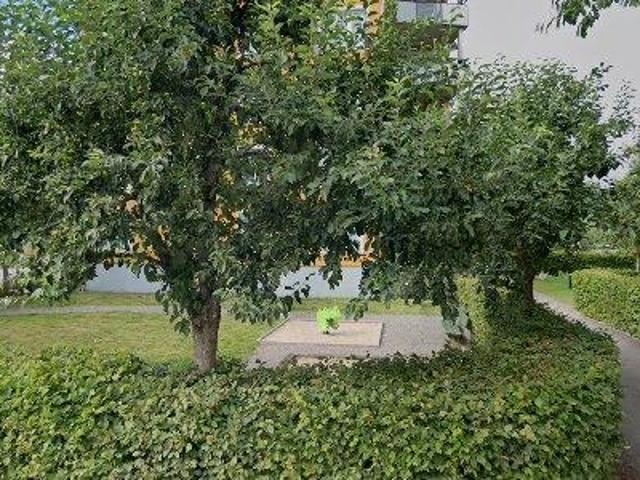 Lägenhet hyra i Växjö, Kronoberg