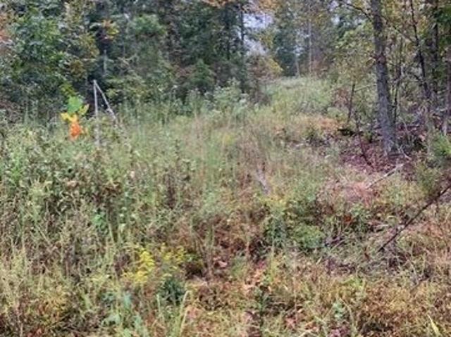 Farm for sale in Fredericktown, Missouri