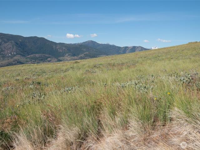 Land for sale in Twisp, Washington