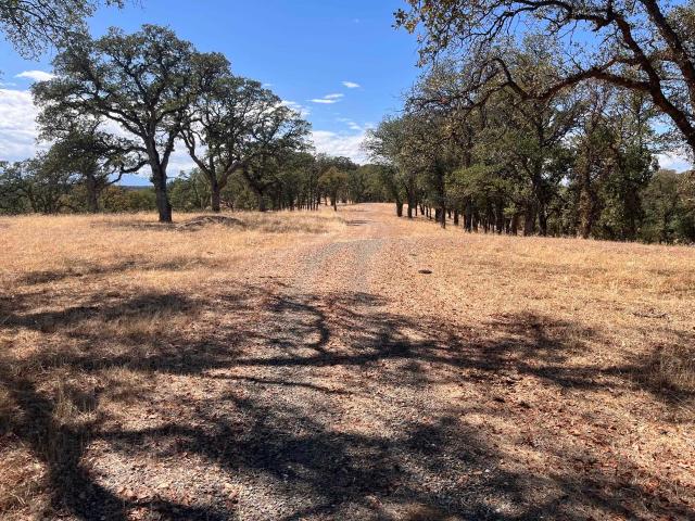 Land for sale in Red Bluff, Tehama County