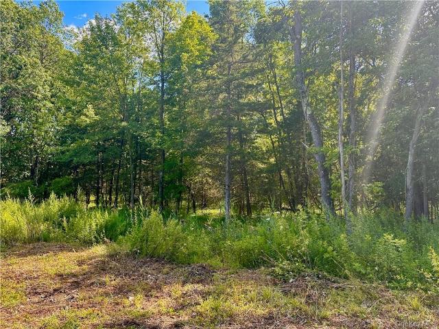 Land for sale in Chester, New York