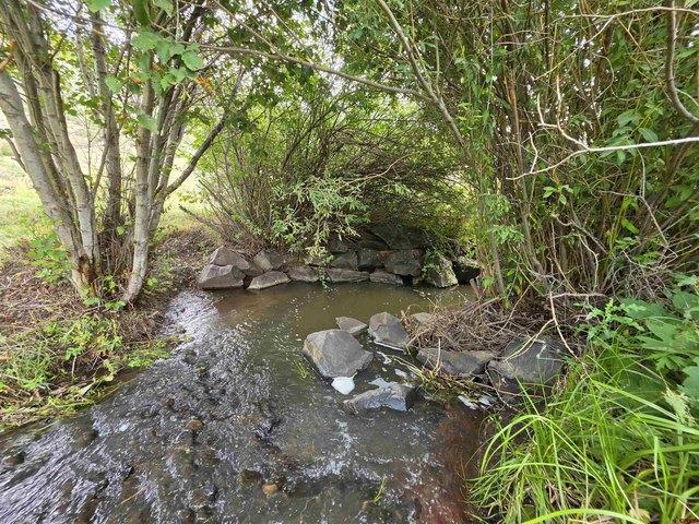Land for sale in South Fork, Rio Grande County