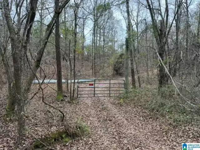 House for rent in Marbury, Alabama