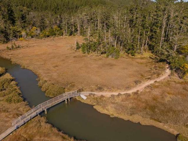 Land for sale in Pauanui, Waikato