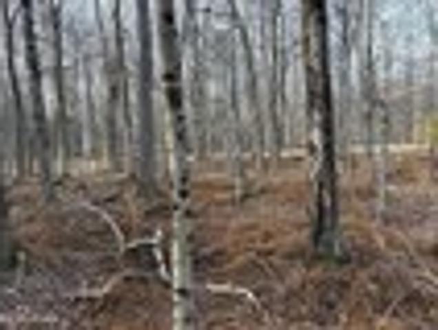 Land for sale in Newfoundland, Pennsylvania