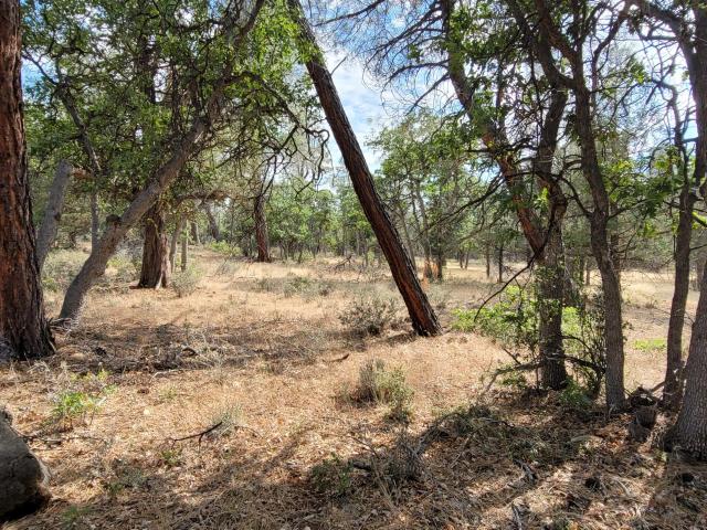 Land for sale in Shasta, California