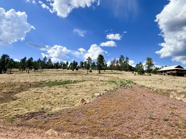 Land for sale in Alpine, Arizona