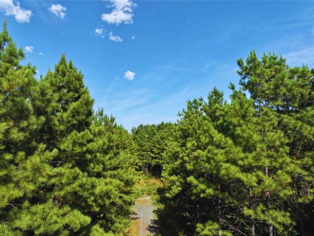 Land for sale in Broken Bow, Oklahoma