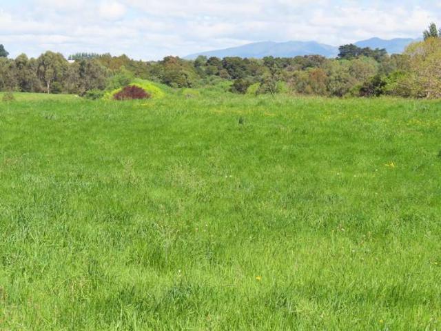 Property for sale in Tararua District