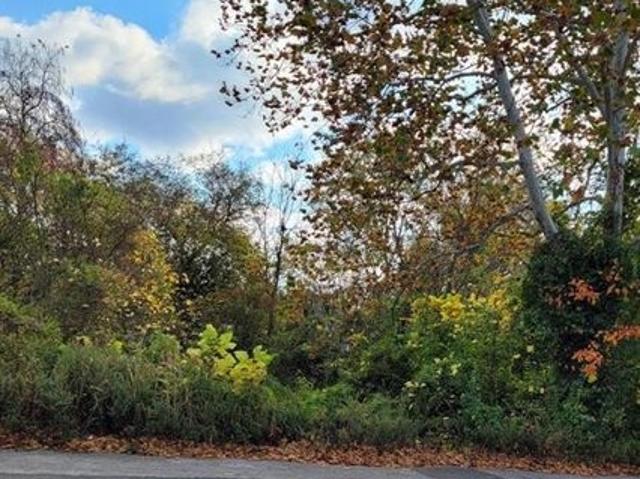 Land for sale in Penns Grove, Salem County