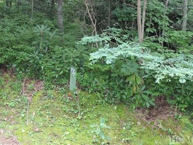 Land for sale in Transylvania, North Carolina