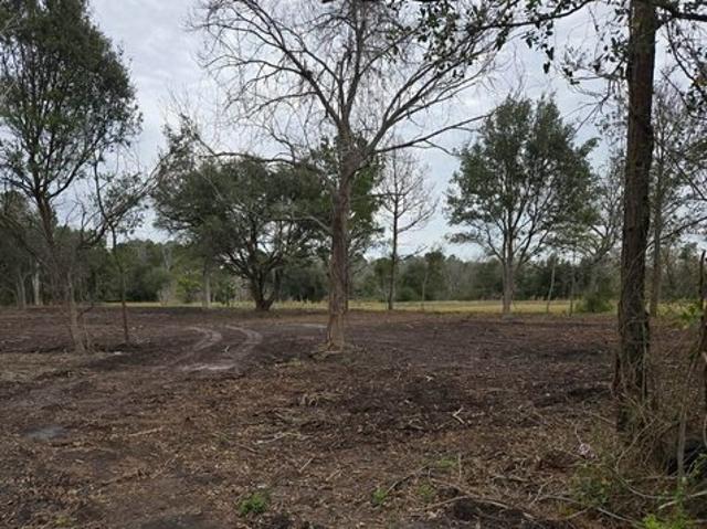 Land for sale in Santa Fe, Texas