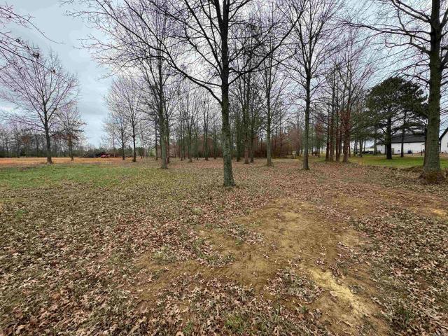 Land for sale in Ark