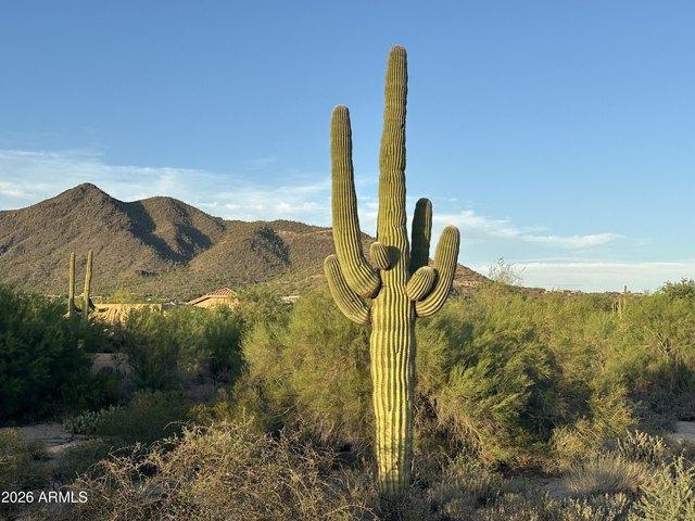 Land for sale in Cave Creek, Arizona