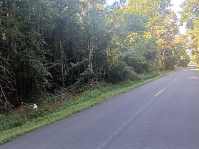 Land for sale in Parsonsburg, Wicomico County