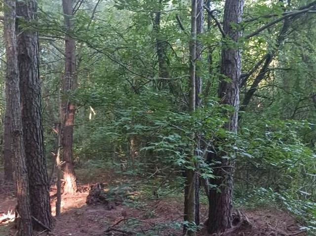 Land for sale in Forest Grove, Wicomico County