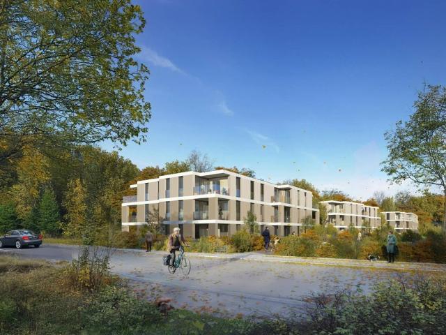 Apartment mieten in Greinsfurth, Amstetten