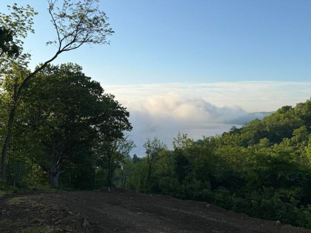 Land for sale in Kentucky