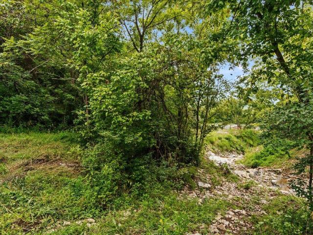 Land for sale in Dover, Mason County