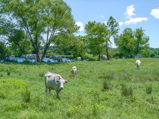Land for sale in Edgewood, Texas