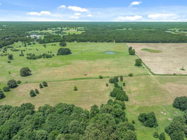 Land for sale in Edgewood, Texas
