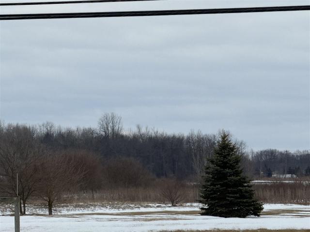 Land for sale in La Salle, Michigan