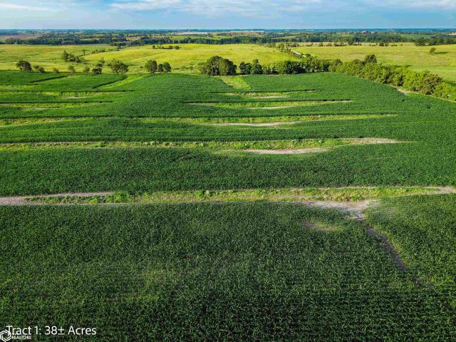 Farm for sale in Woodburn, Iowa