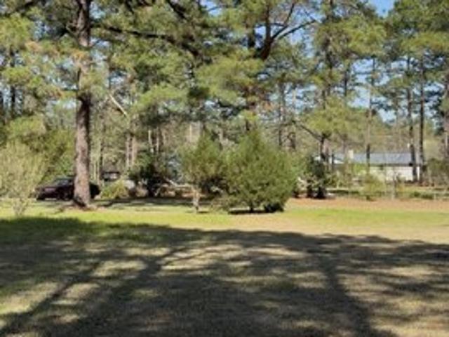 Land for sale in Turbeville, South Carolina