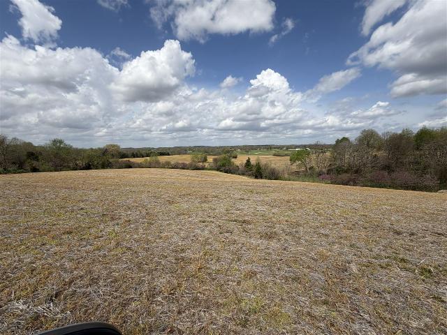 Land for sale in Bowling Green, Warren County
