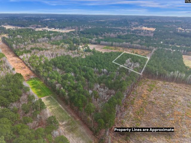 Land for sale in Timmonsville, South Carolina