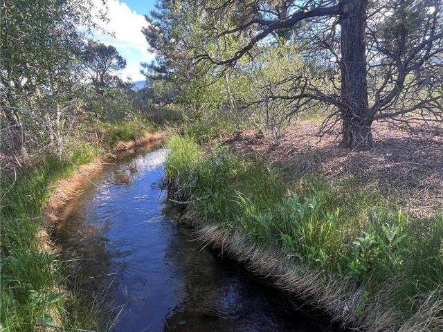Land for sale in Buena Vista